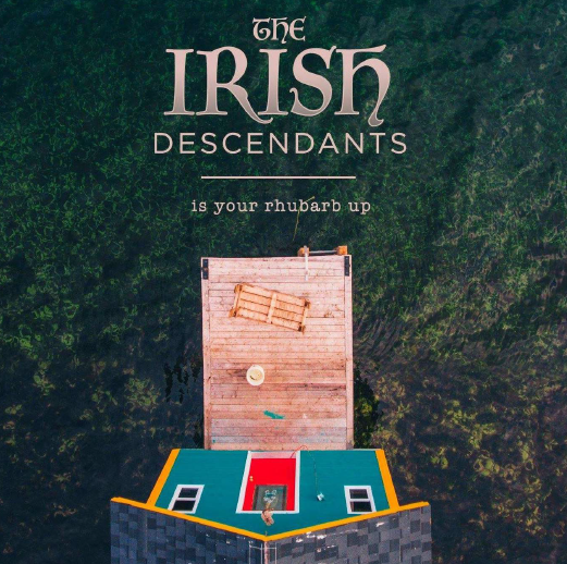 The Irish Descendants 10 CD Bundle
